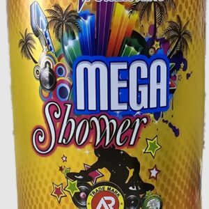 6 inch Mega Shower