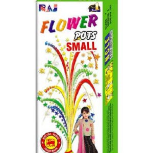 Flower Pot Small - 1 box (10 Pieces)